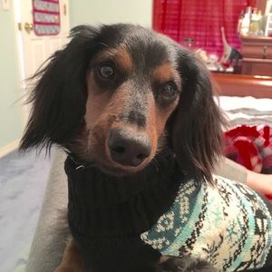 Meet your Posher, Alexia